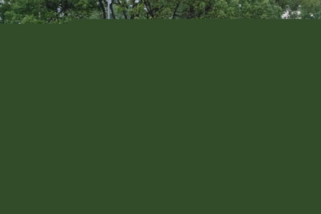 上海高校腰旗橄榄球赛燃动杨浦！这所高校包揽男女双冠(图1)