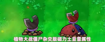 植物大战僵尸杂交版磁力土豆雷好用吗(图1)