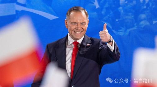 6月2日俄乌：乌克兰改写战争规则俄军41架战机被摧毁(图6)