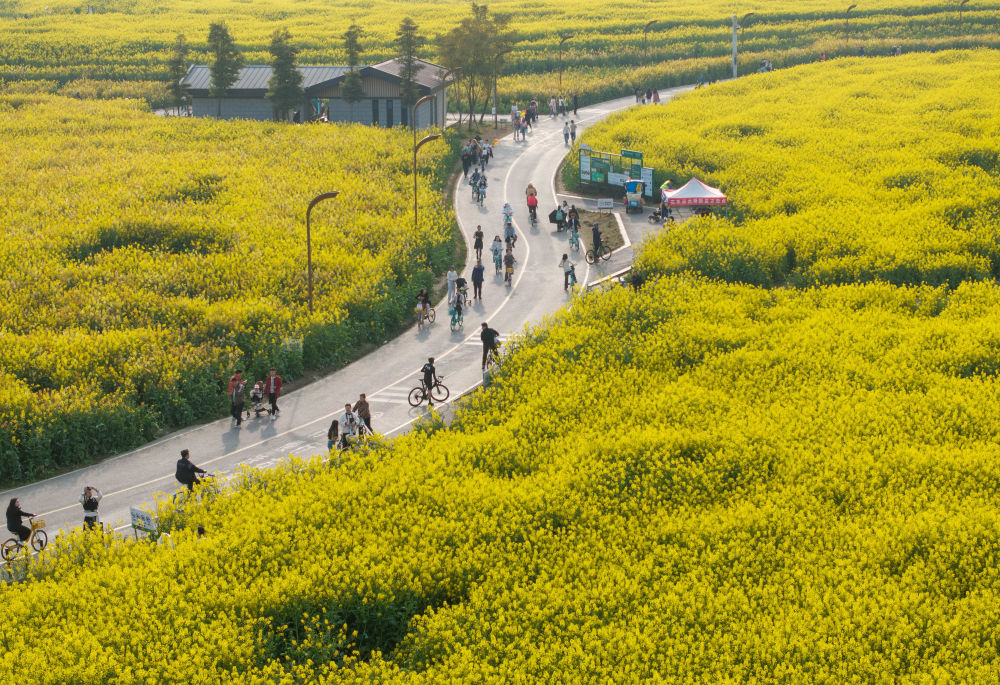 在成都｜跟着赛事去旅行领略世运之城的动感之美(图29)