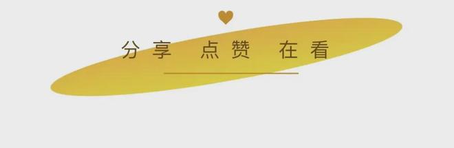 潜入水下世界！揭秘“水下飞行”真相(图5)