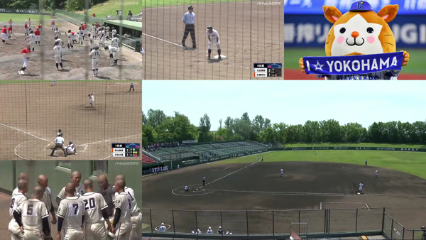 比分即时手机完整版(图1)