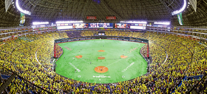 球队陷入危难一名44岁教练选择复出打球(图1)