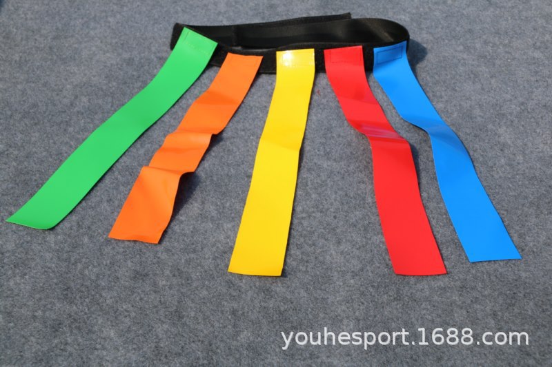 2026年橄榄球行业市场深度调研及未来发展趋势(图1)