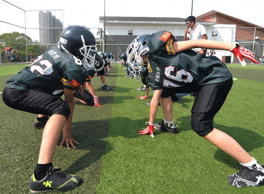 武汉狮鹫：从校园草地到城市碗的逆袭(图1)
