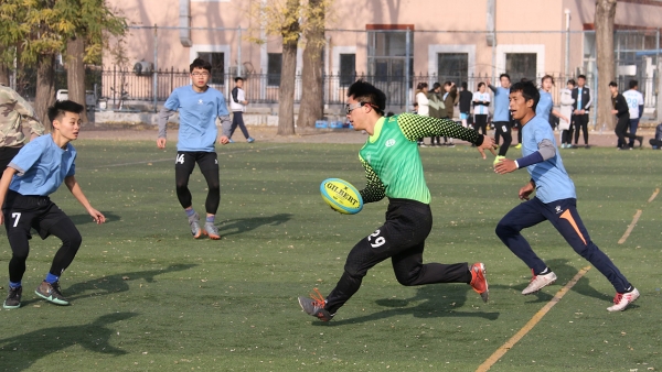 刚刚在超级碗夺冠的西雅图海鹰队快来接住他们的好运(图1)