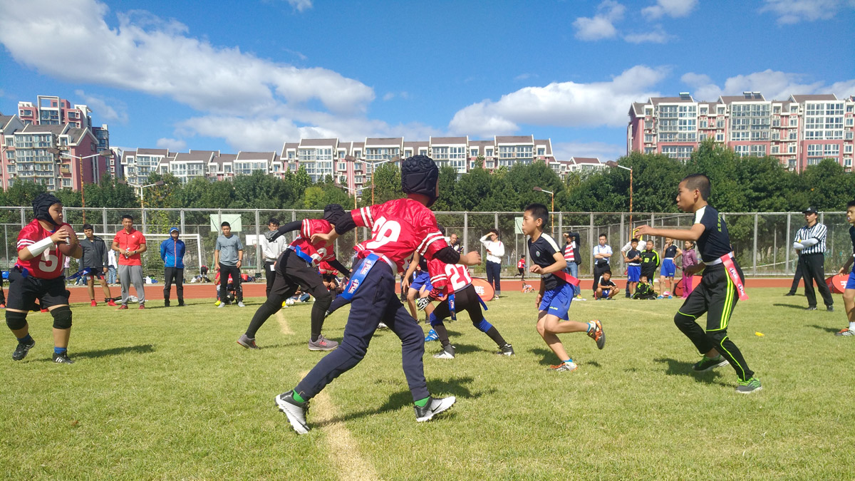 关于我们 - 中国棒球协会官方网站(图1)